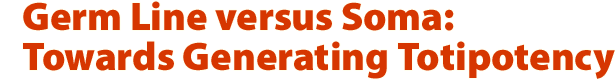 Germ Line versus Soma: Towards Generating Totipotency